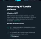 NFTs profile twitter